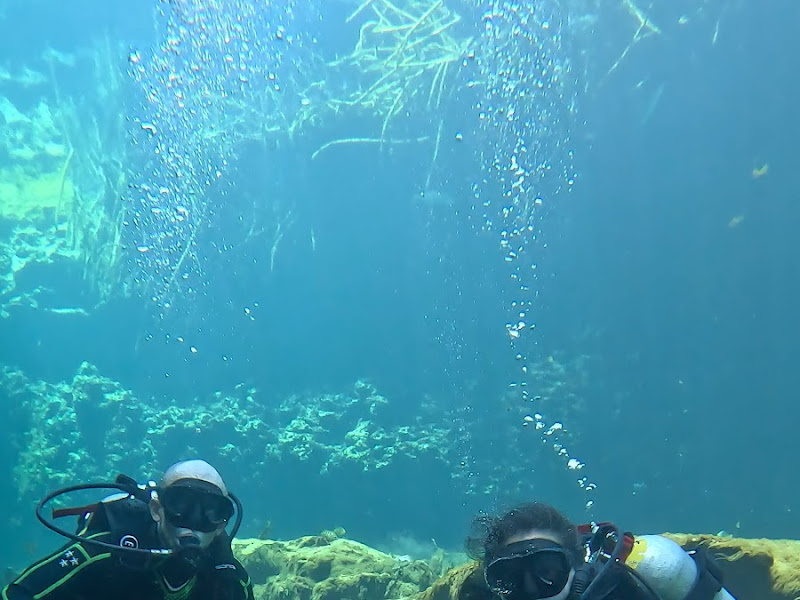 ALEJANDRA VELASCO MARTINEZ cenote diving