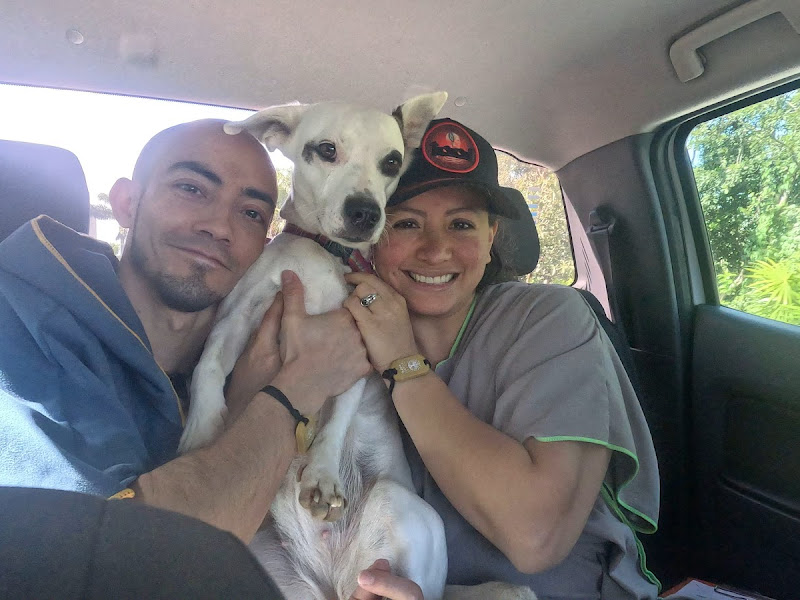 ALEJANDRA VELASCO MARTINEZ cenote diving