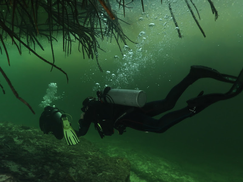 Harper Hults cenote diving