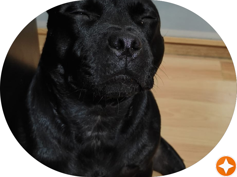 Isar Wennberg — Google review