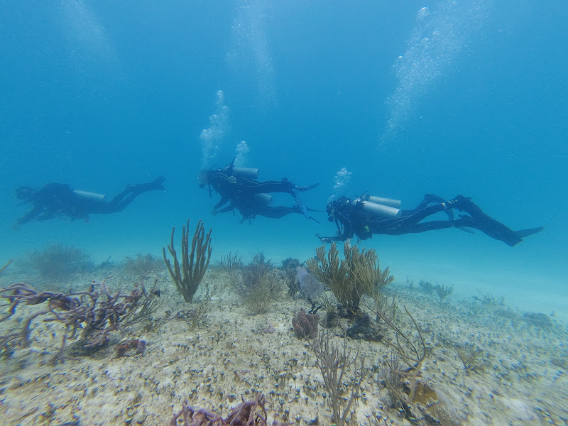 Jürgen De Saedeleer cenote diving