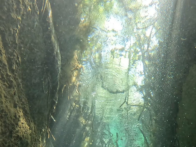 Stuart W cenote diving