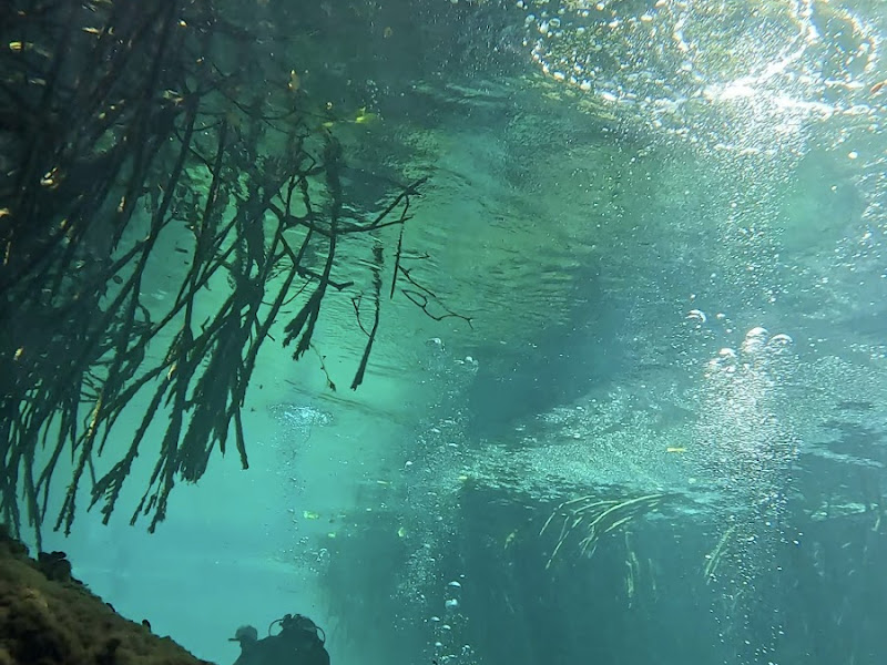 Stuart W cenote diving