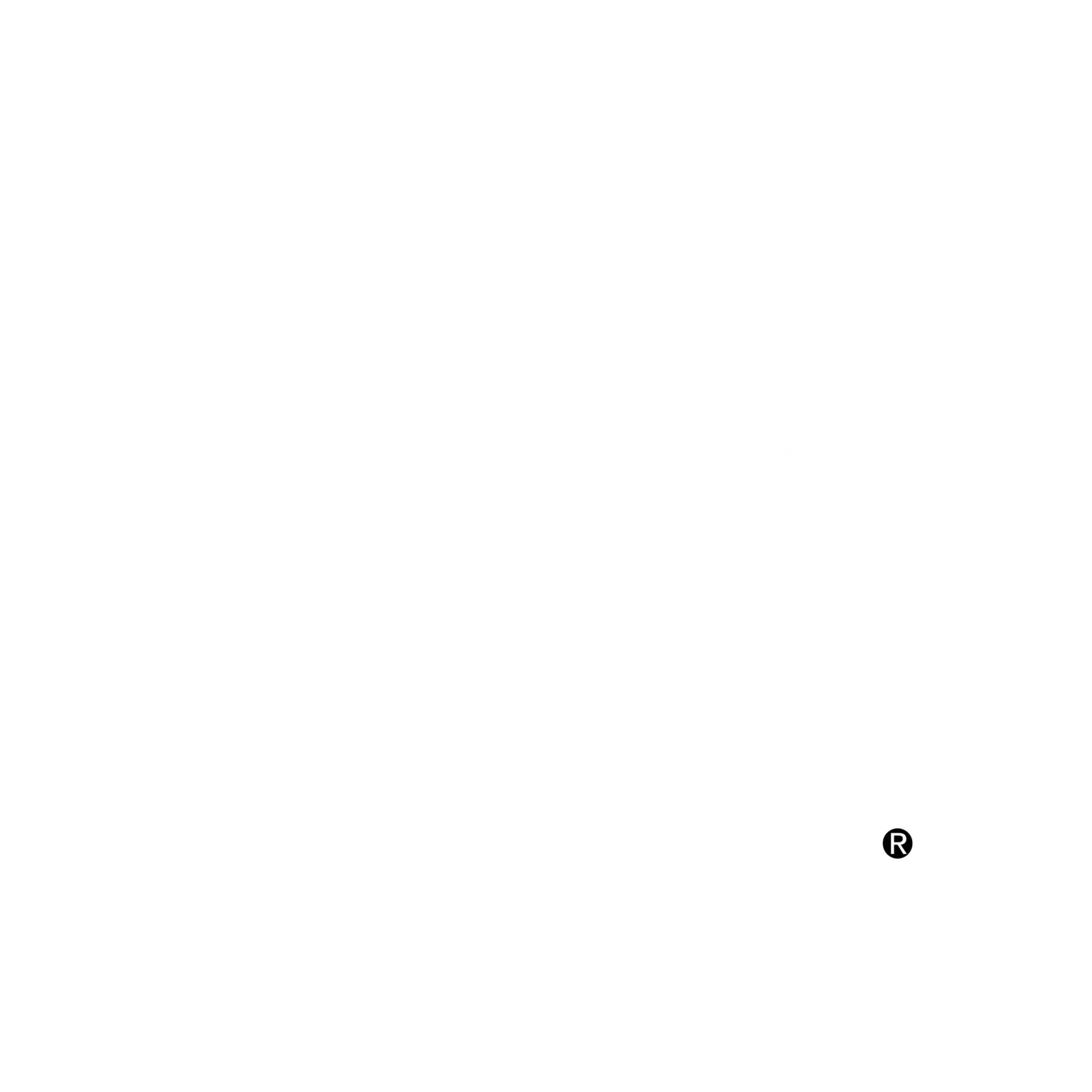 LOGO PADI BLANCO