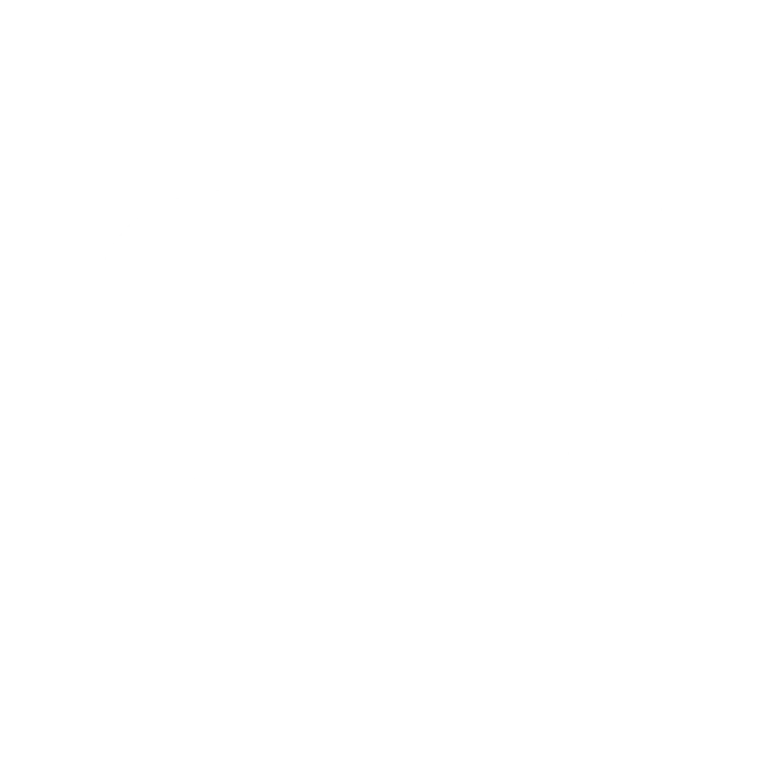 SSI Logo blanco