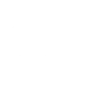 SSI logo