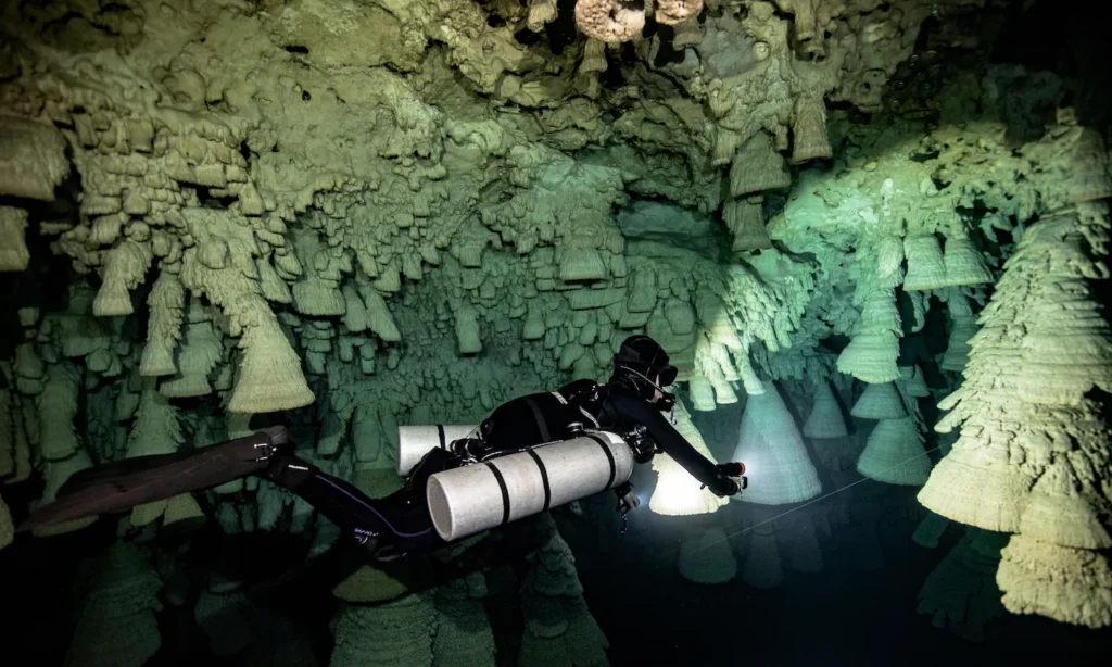 Cenotes en Puerto Morelos