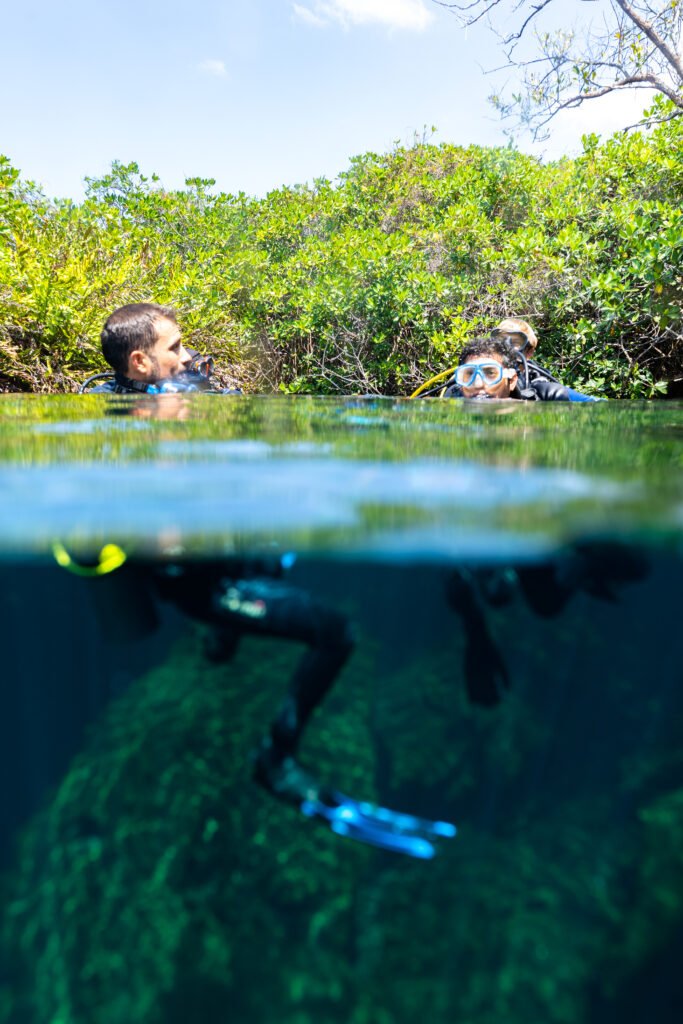 Cristalino Cenote
