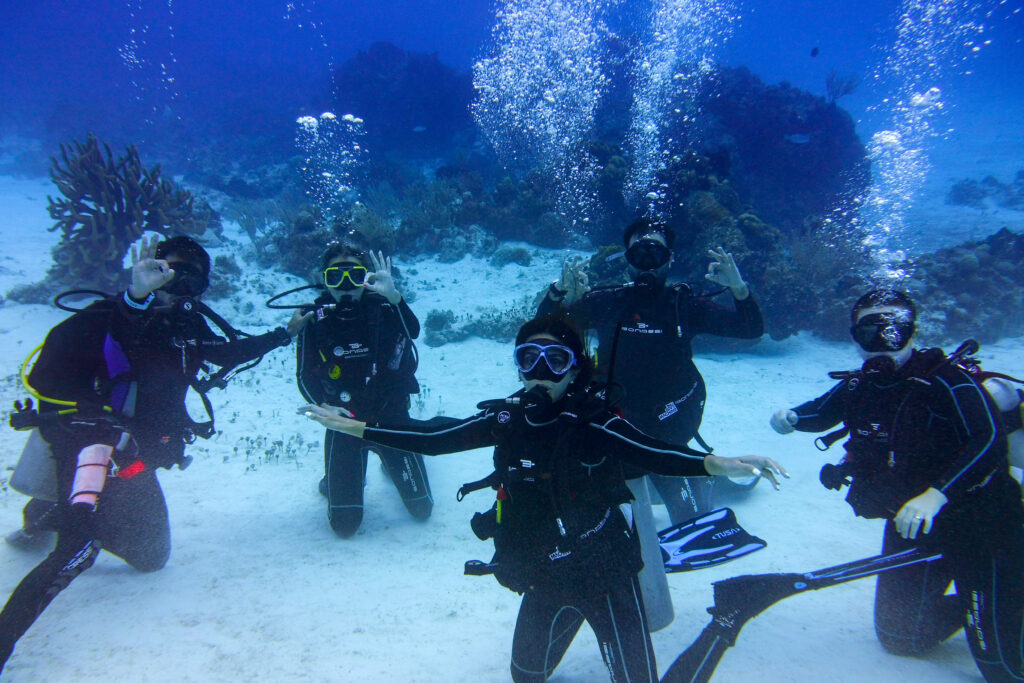 Cursos de buceo