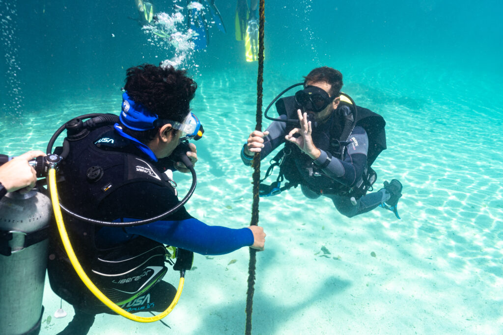 Scuba Diving for Beginners